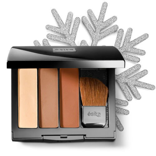 Adquiere nuestro Polvo Técnica Profesional HD