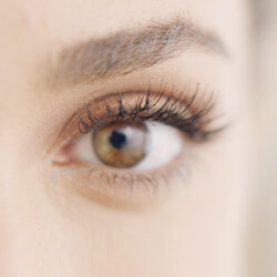 Máscara Mega Full Size Fácil Retirado