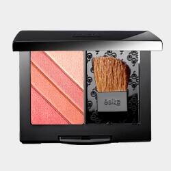 Polvo Técnica Profesional