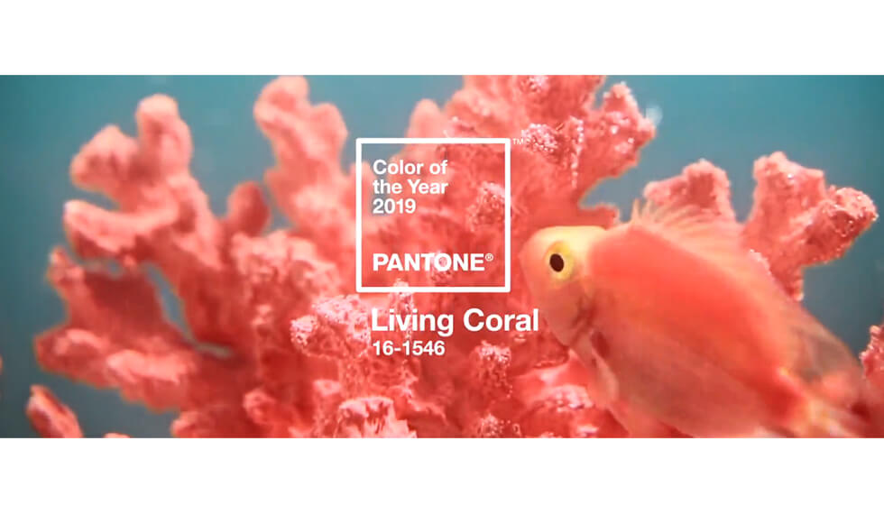 Pantone 2019 - Coral Living