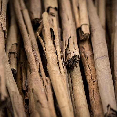 Labios grandes Ésika